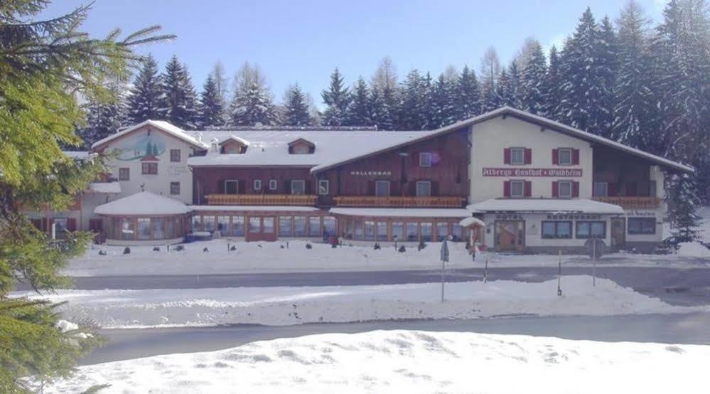 Hotel Waldheim Sarnonico المظهر الخارجي الصورة