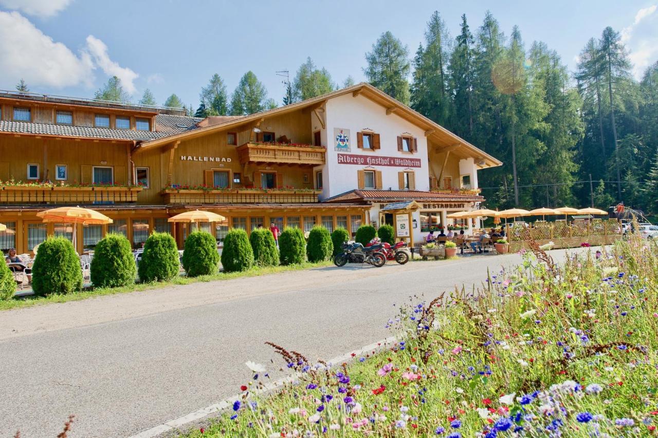Hotel Waldheim Sarnonico المظهر الخارجي الصورة